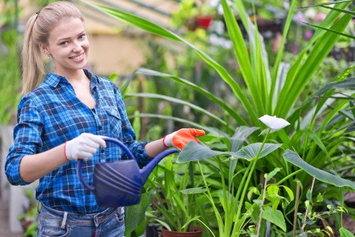 Cleaners W1T professional at work